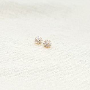 Brinco Flor de Cristais