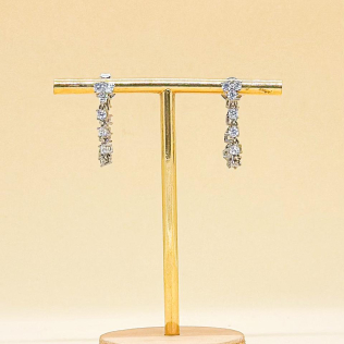 Brinco Ear hook rodinado